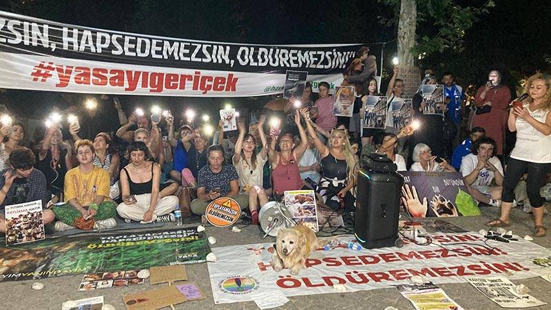 Ankara’da sokak hayvanları yasa teklifine karşı protesto; “Toplayamazsın, hapsedemezsin, öldüremezsin”
